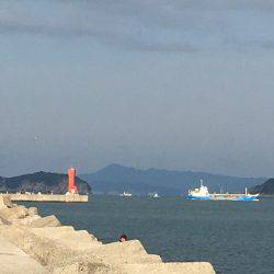 ショアジギング