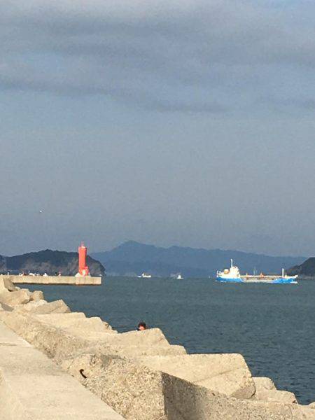 ショアジギング