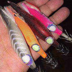 アオリ連発！淡路島エギング！