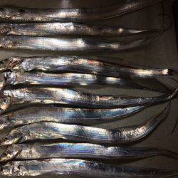 アジング時々ワインド