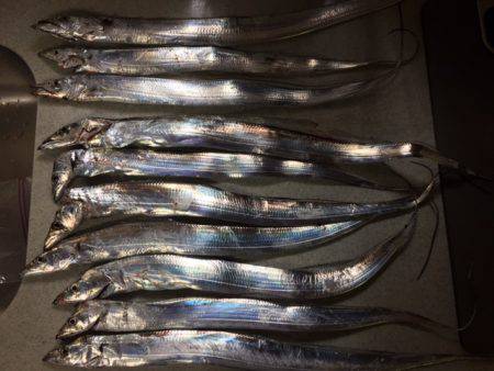 アジング時々ワインド