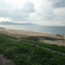 アオリイカとシロギス