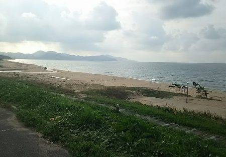 アオリイカとシロギス