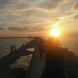 10月の連休に海に出て連日、海のギャングを求めて旅に出てみた。