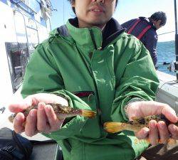 石川丸 釣果
