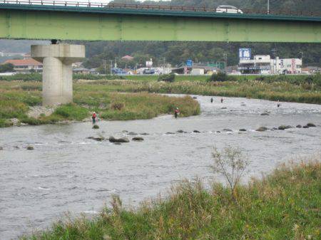 狩野川（狩野川漁業協同組合） 釣果