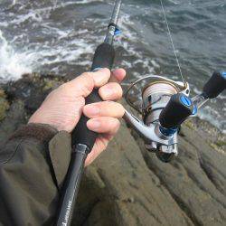 舞鶴東部アオリイカ7杯！