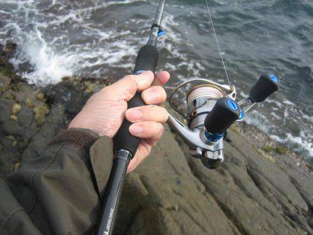 舞鶴東部アオリイカ7杯！