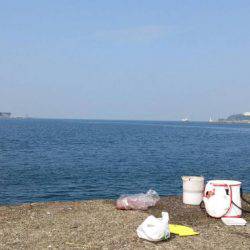 アジ、太刀魚GET！！