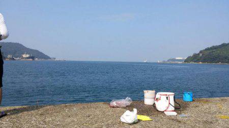 アジ、太刀魚GET！！