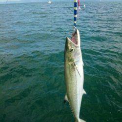 秋の長雨の合間に・・・