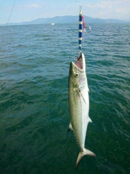 秋の長雨の合間に・・・