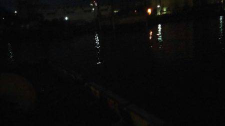 太刀魚、マイワシ、サヨリGET！！