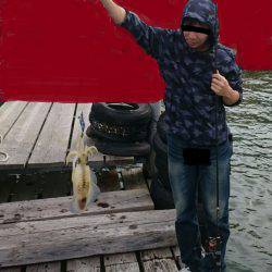 せっかく有給を取ってボートエギングのはずが・・・