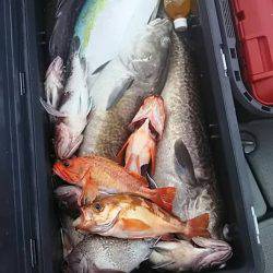 クーラー満タン