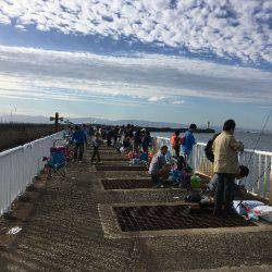 南港魚つり園でタチウオ＆プリプリのマアジ！