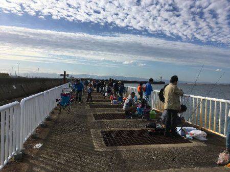 南港魚つり園でタチウオ＆プリプリのマアジ！
