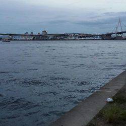 チーバスと夕涼み