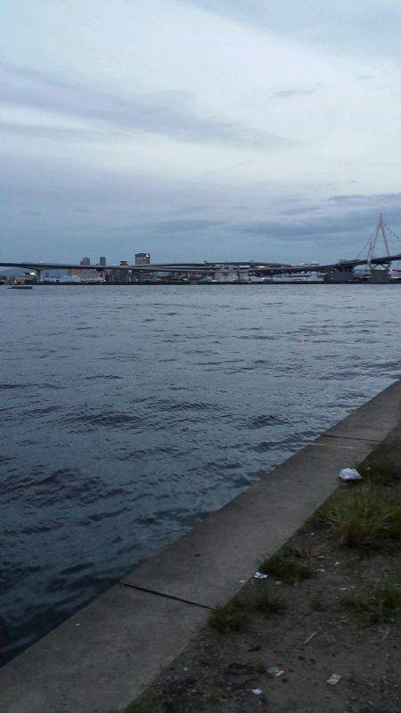 チーバスと夕涼み