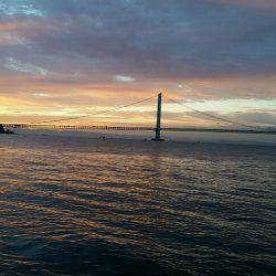 大蔵海岸朝マズメ。タチウオ堅調でした。