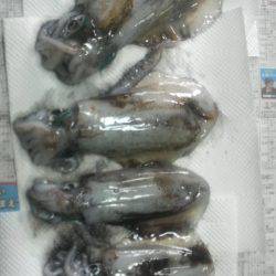 なめてました。