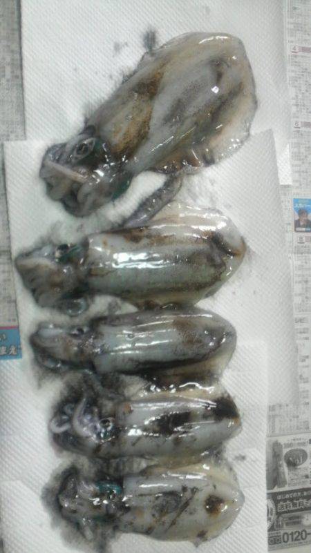 なめてました。