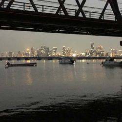 晩秋の良型ハゼはライトタックルで