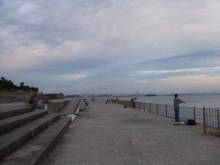 嫁さんのお供でサヨリ