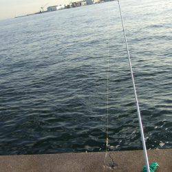 タッチー久しぶり！