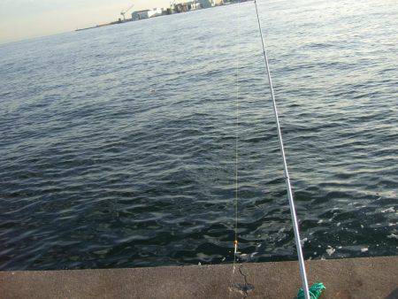 タッチー久しぶり！