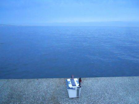 早朝～ウキ釣りでタチウオ