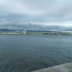 早朝～ウキ釣りでタチウオ狙い