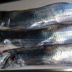 ルアーも楽しい