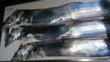 ルアーも楽しい