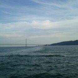 ライトジグサビキでマイワシ、ウルメイワシイレグイ