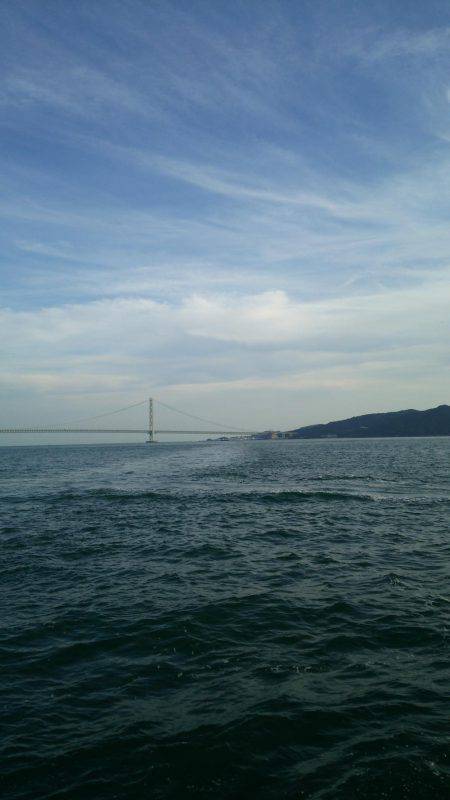 ライトジグサビキでマイワシ、ウルメイワシイレグイ