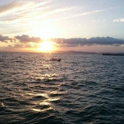 チョコットエギング