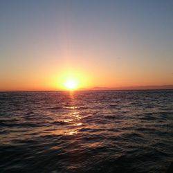 淡路島縦断釣行