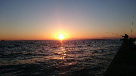 淡路島縦断釣行