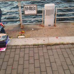 シーサイドコスモ でかサバ