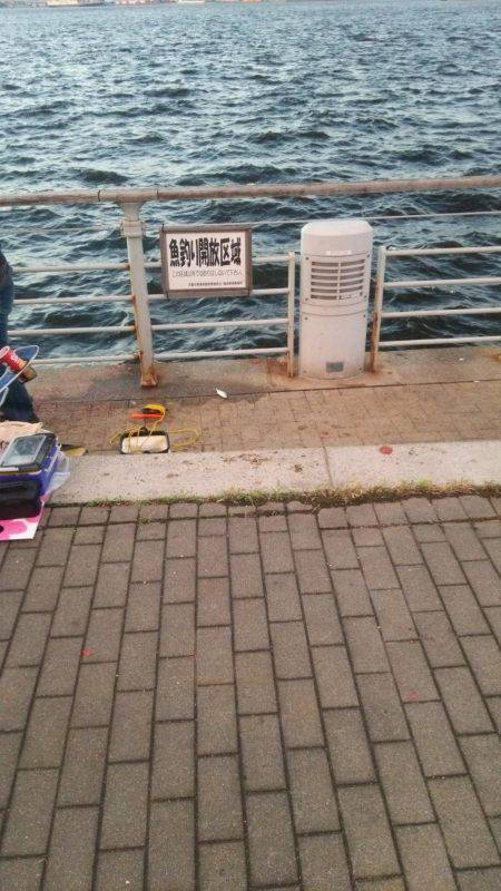 シーサイドコスモ でかサバ