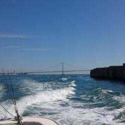 明石魚英でジギング