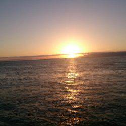 元はとれませんでした