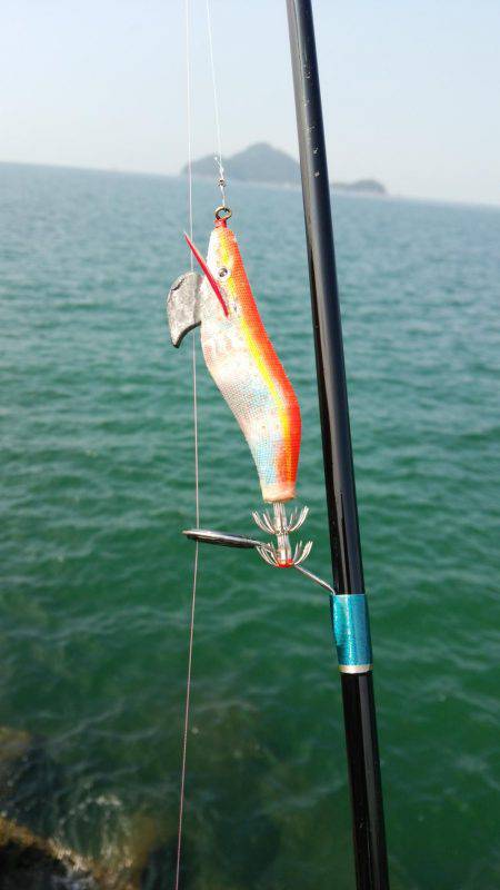 やっぱり人が少ないと釣れます❗