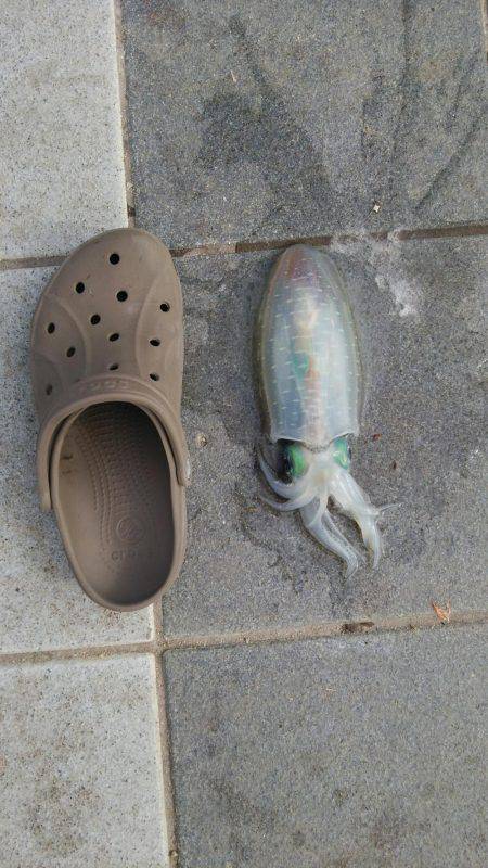 ポケモンGoの人々だらけ