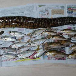 小浦一文字釣行！