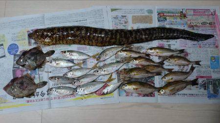 小浦一文字釣行！