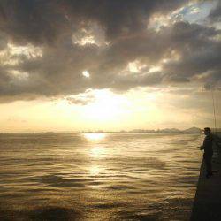 サゴシ釣れました(^^)