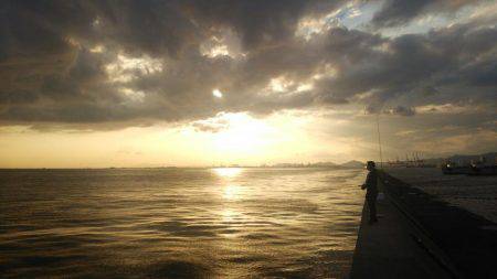 サゴシ釣れました(^^)