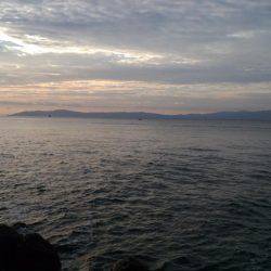 ブリ族は何処へ?